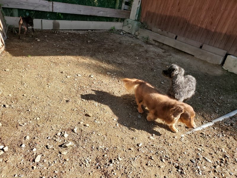 f:id:roukenhome-ann:20191009165342j:plain