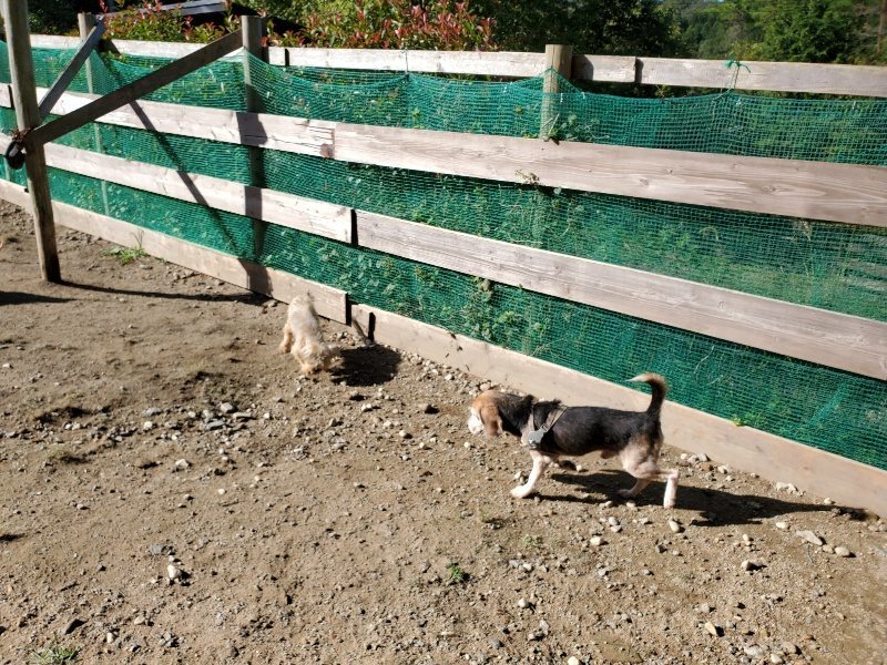 f:id:roukenhome-ann:20191009165458j:plain