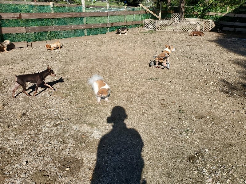 f:id:roukenhome-ann:20191009165657j:plain