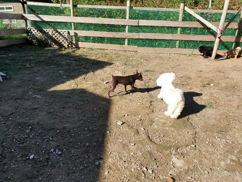 f:id:roukenhome-ann:20191009165831j:plain