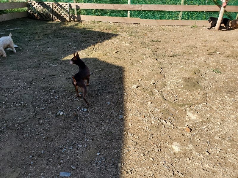 f:id:roukenhome-ann:20191009165934j:plain
