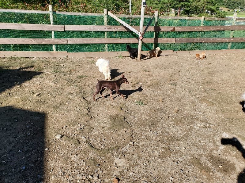 f:id:roukenhome-ann:20191009170031j:plain