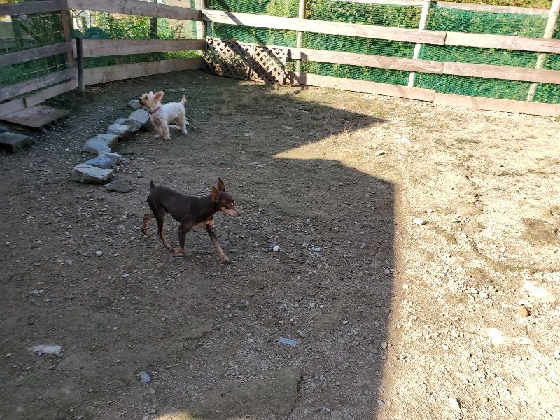 f:id:roukenhome-ann:20191009170121j:plain