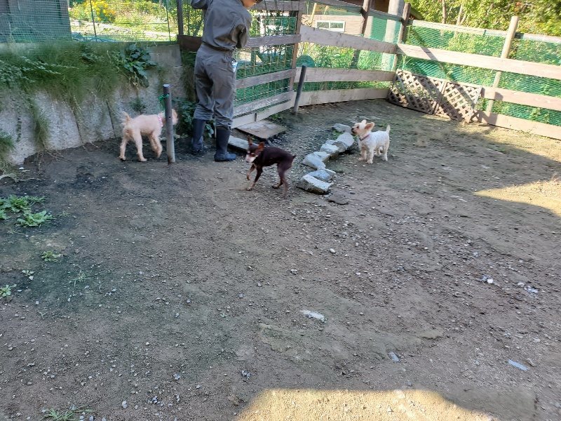 f:id:roukenhome-ann:20191009170204j:plain