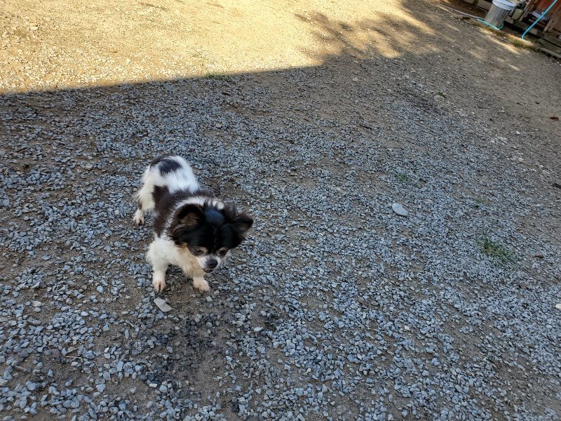 f:id:roukenhome-ann:20191009170250j:plain