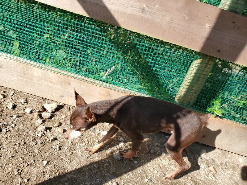 f:id:roukenhome-ann:20191009170444j:plain