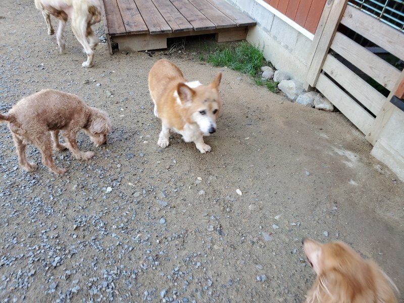 f:id:roukenhome-ann:20191009170713j:plain