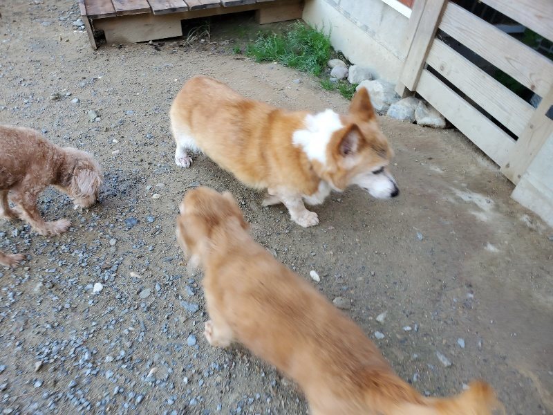 f:id:roukenhome-ann:20191009170734j:plain