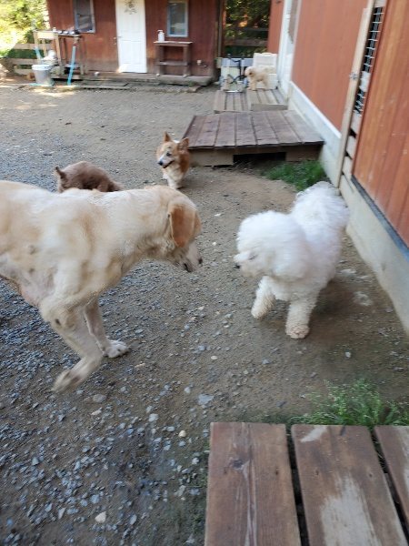 f:id:roukenhome-ann:20191009170751j:plain