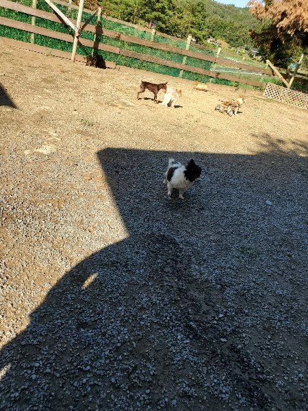 f:id:roukenhome-ann:20191009170807j:plain