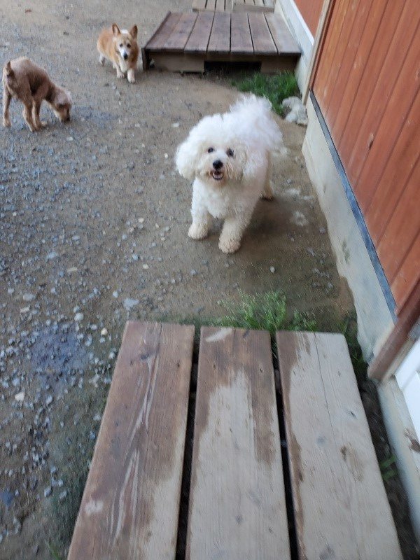 f:id:roukenhome-ann:20191009170846j:plain