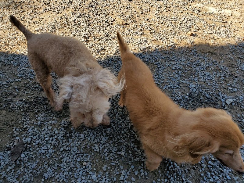 f:id:roukenhome-ann:20191009170934j:plain