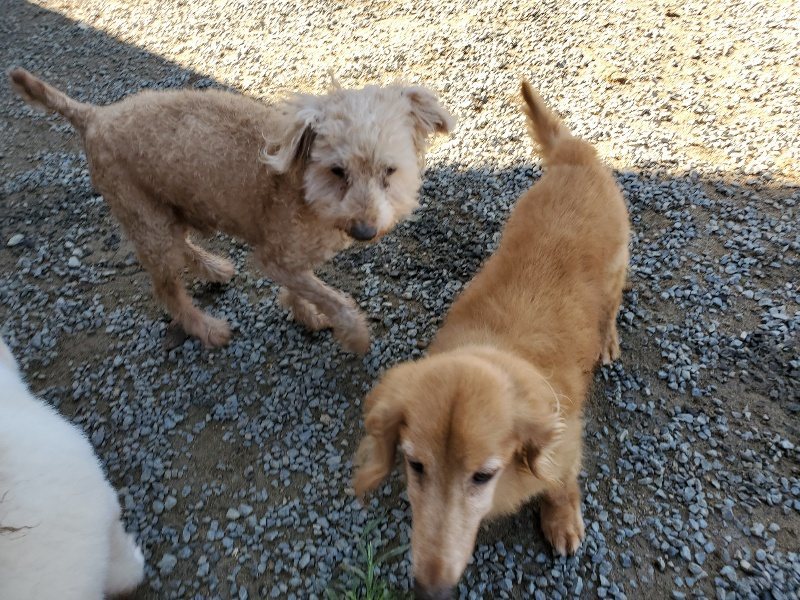 f:id:roukenhome-ann:20191009171012j:plain