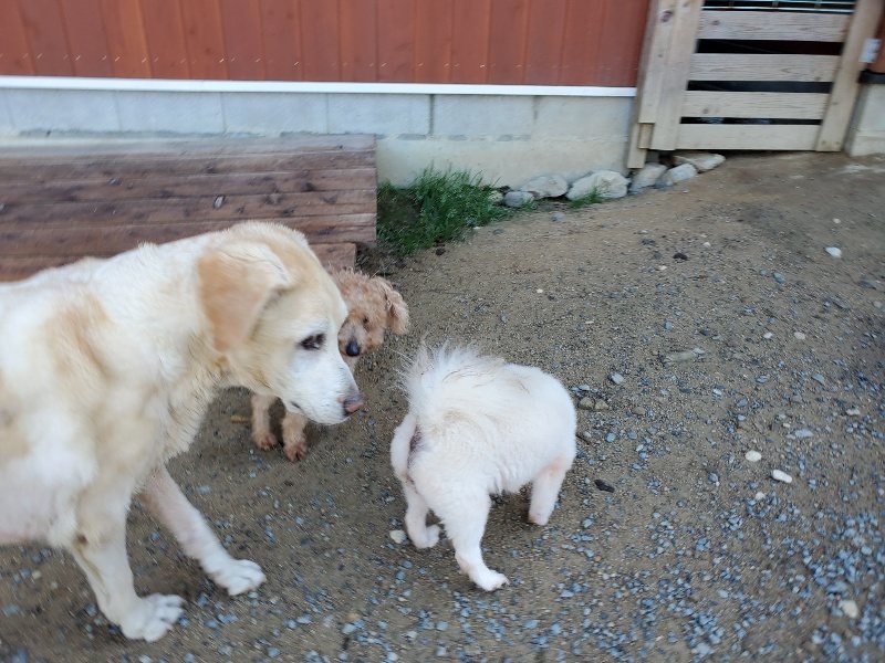 f:id:roukenhome-ann:20191009171208j:plain