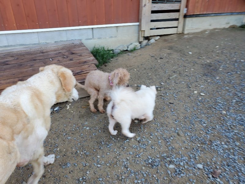 f:id:roukenhome-ann:20191009171353j:plain