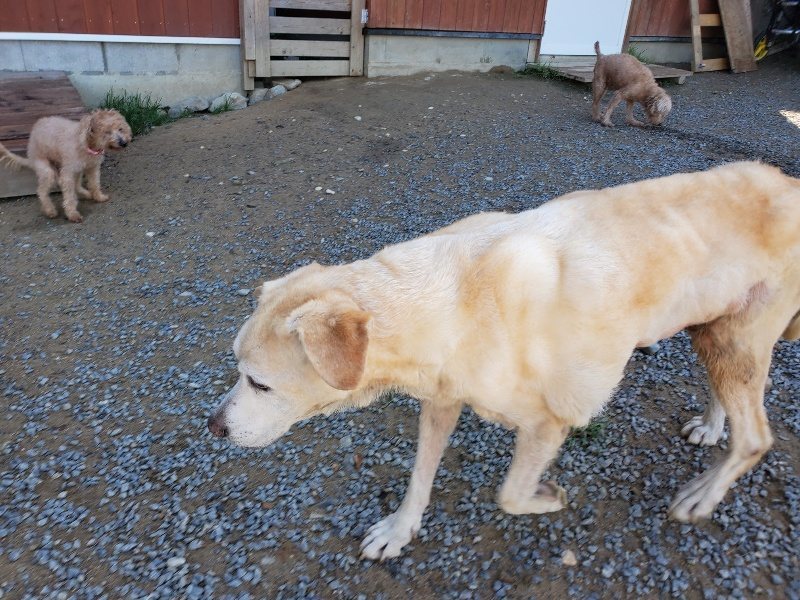 f:id:roukenhome-ann:20191009171511j:plain