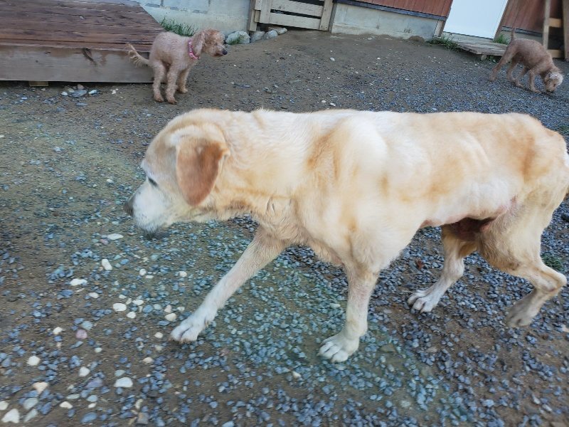f:id:roukenhome-ann:20191009171625j:plain