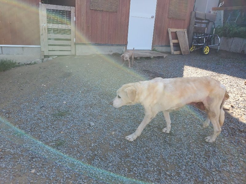 f:id:roukenhome-ann:20191009171811j:plain