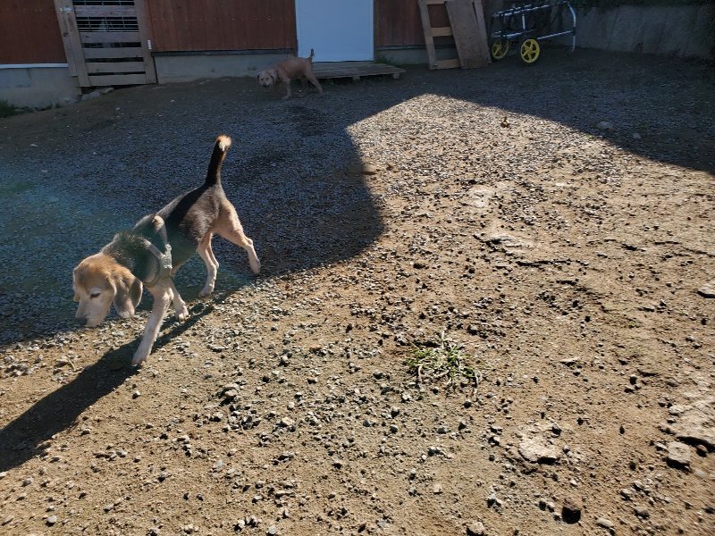 f:id:roukenhome-ann:20191009172019j:plain