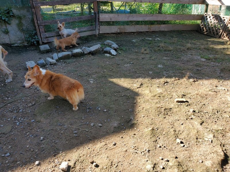 f:id:roukenhome-ann:20191009172418j:plain