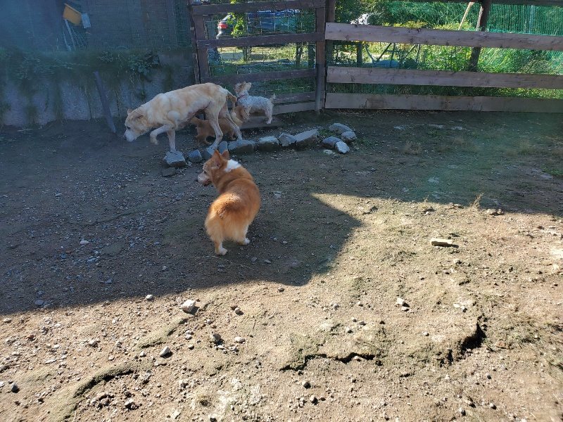 f:id:roukenhome-ann:20191009172501j:plain
