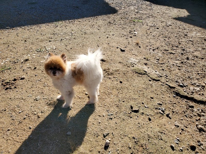 f:id:roukenhome-ann:20191009172625j:plain