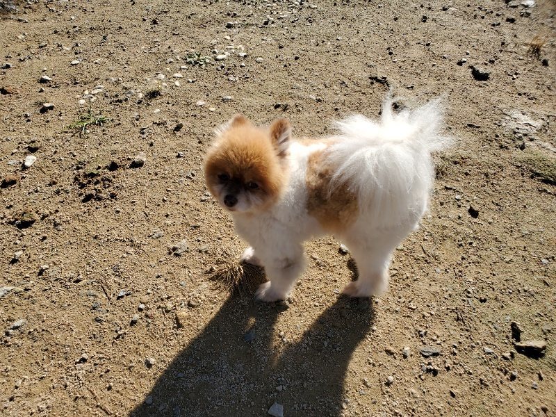 f:id:roukenhome-ann:20191009172743j:plain