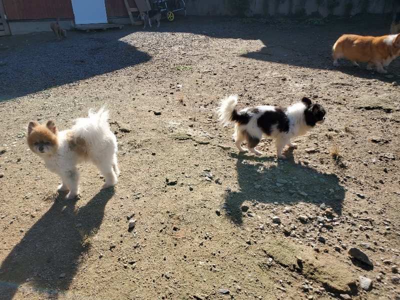 f:id:roukenhome-ann:20191009172909j:plain