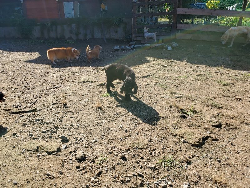f:id:roukenhome-ann:20191009173032j:plain