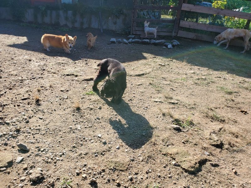 f:id:roukenhome-ann:20191009173141j:plain