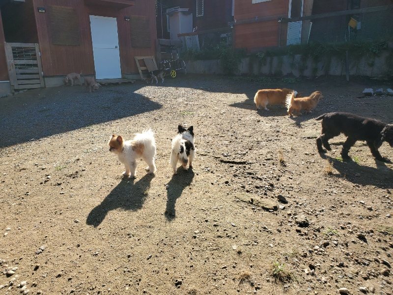 f:id:roukenhome-ann:20191009173247j:plain