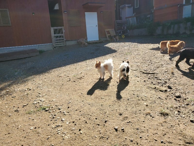 f:id:roukenhome-ann:20191009173509j:plain