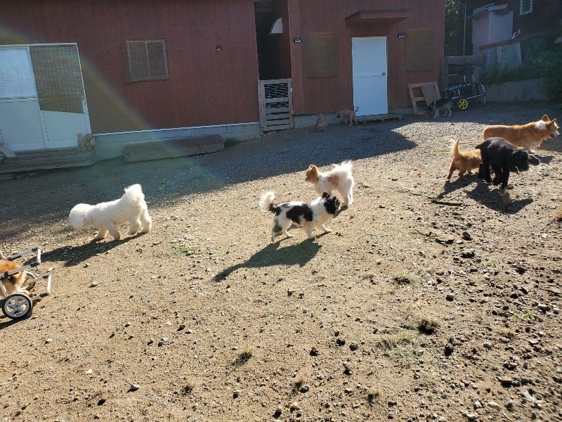 f:id:roukenhome-ann:20191009173620j:plain