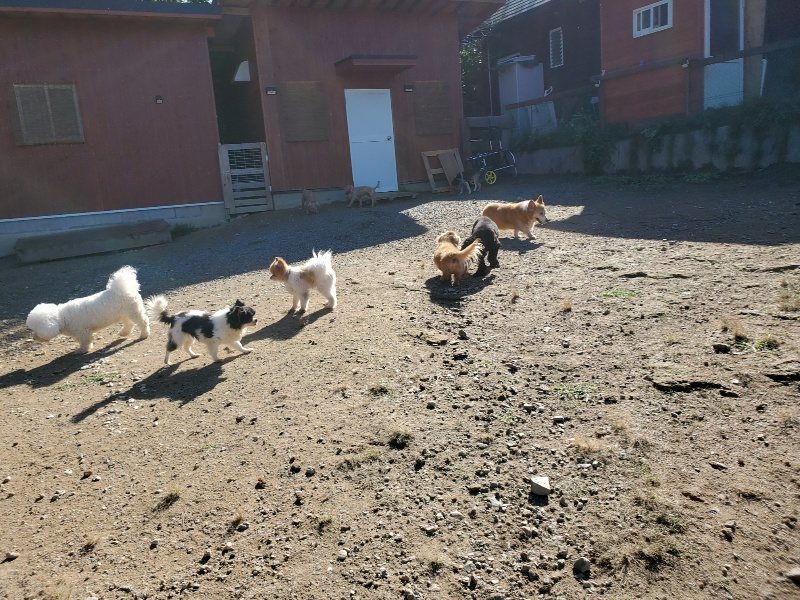 f:id:roukenhome-ann:20191009173712j:plain