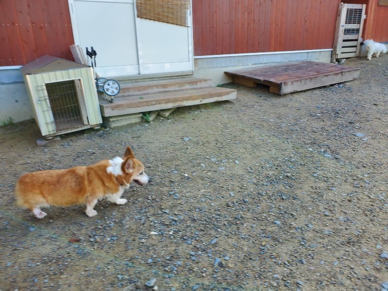 f:id:roukenhome-ann:20191009191017j:plain