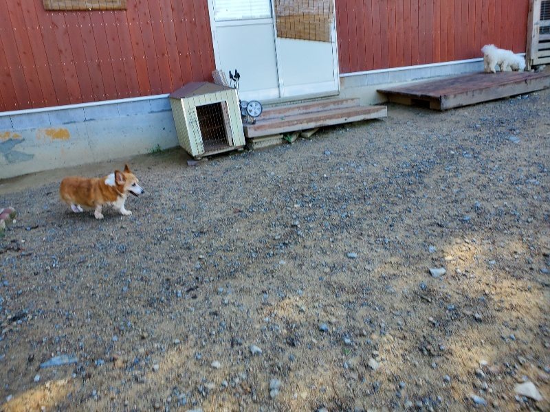 f:id:roukenhome-ann:20191009191345j:plain