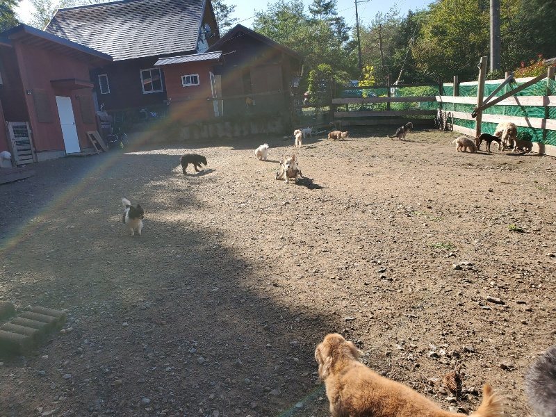f:id:roukenhome-ann:20191009192523j:plain