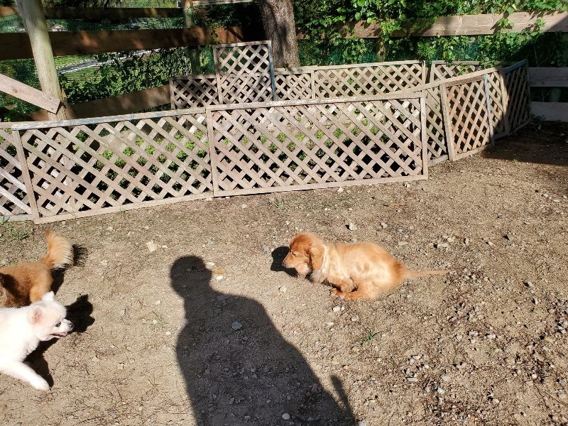 f:id:roukenhome-ann:20191009192834j:plain