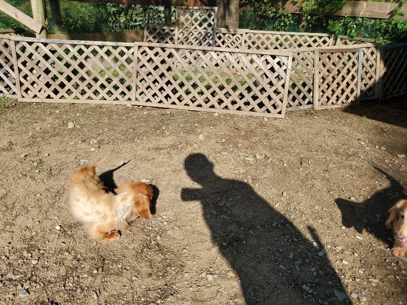 f:id:roukenhome-ann:20191009193640j:plain