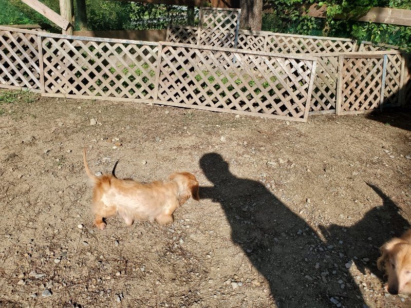 f:id:roukenhome-ann:20191009193653j:plain