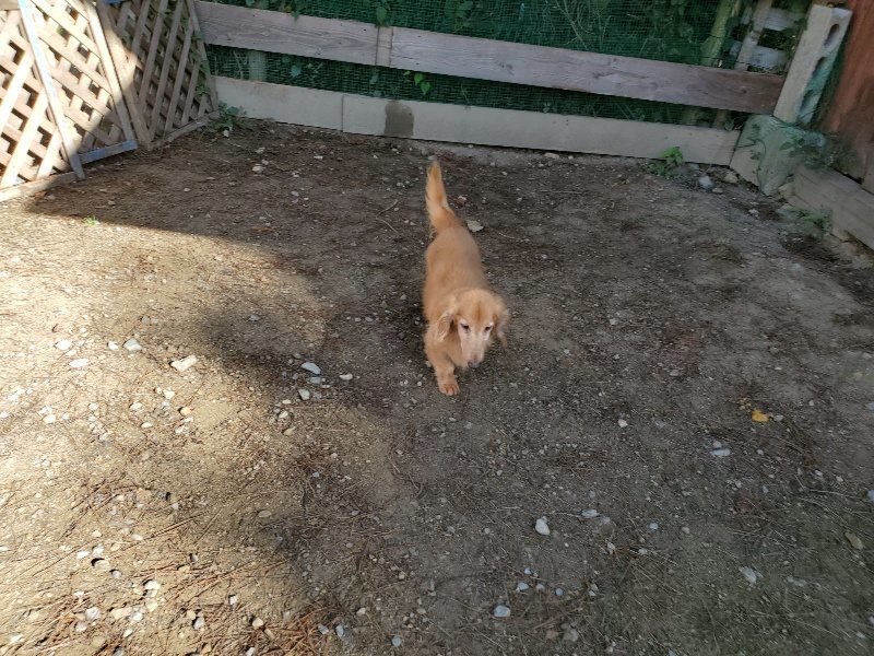 f:id:roukenhome-ann:20191009193710j:plain