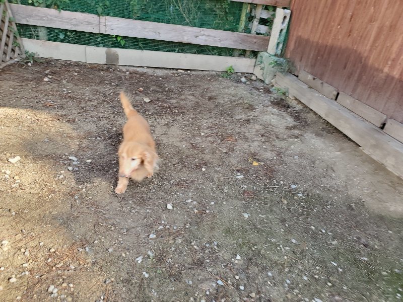 f:id:roukenhome-ann:20191009193722j:plain
