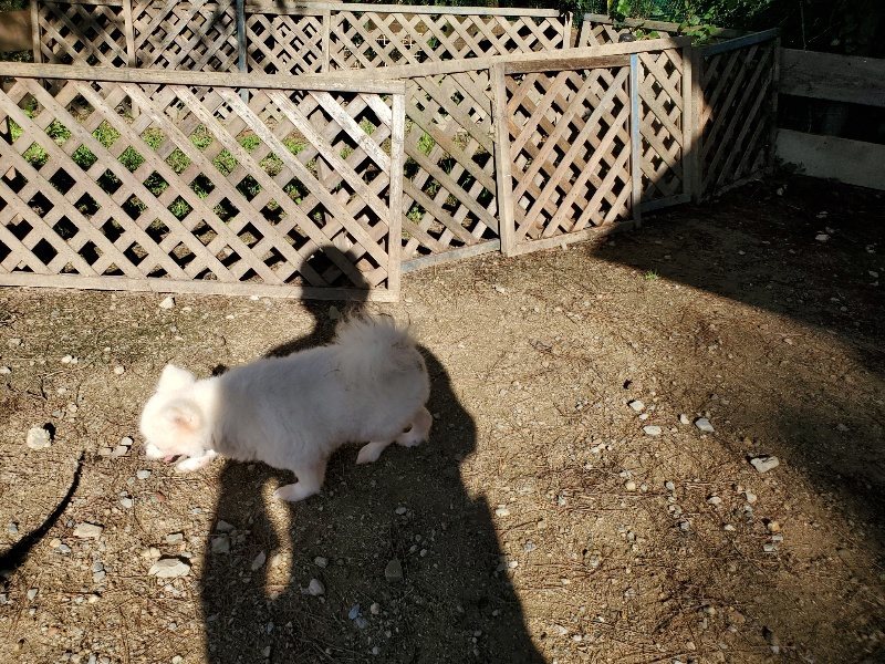 f:id:roukenhome-ann:20191009193733j:plain