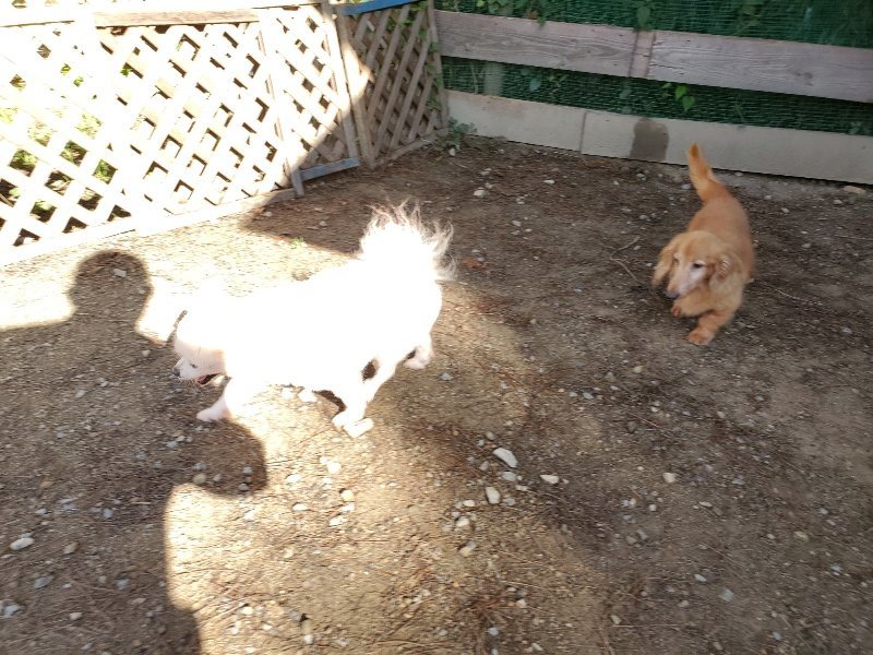 f:id:roukenhome-ann:20191009193743j:plain