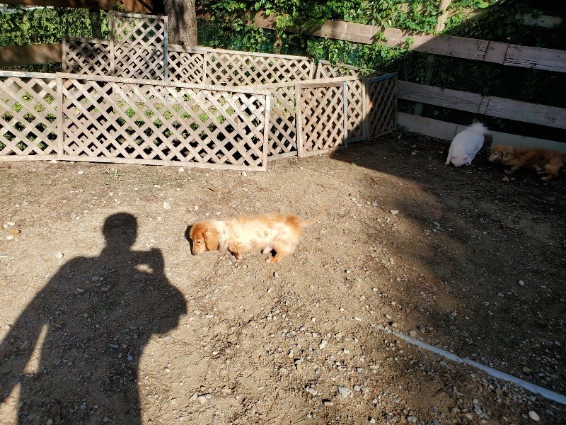 f:id:roukenhome-ann:20191009194114j:plain