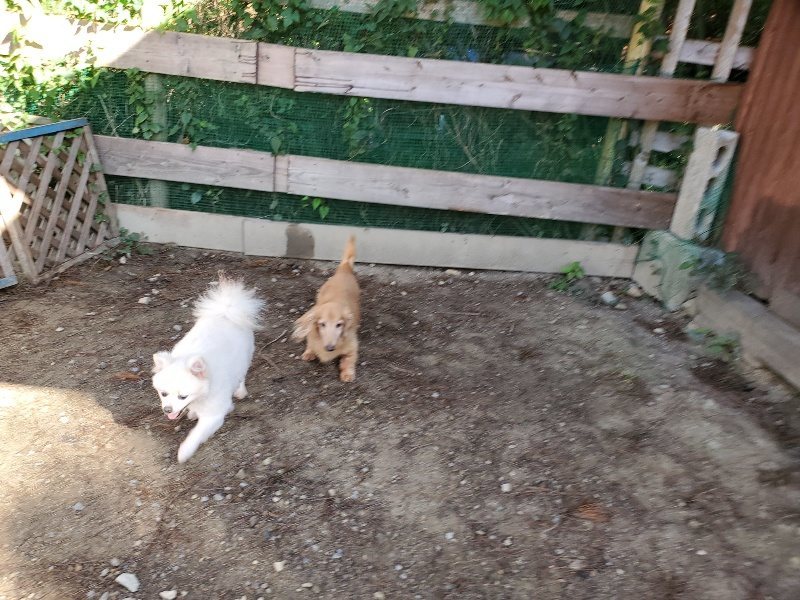 f:id:roukenhome-ann:20191009194123j:plain