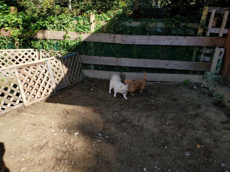 f:id:roukenhome-ann:20191009194159j:plain