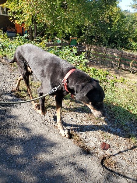 f:id:roukenhome-ann:20191009194248j:plain