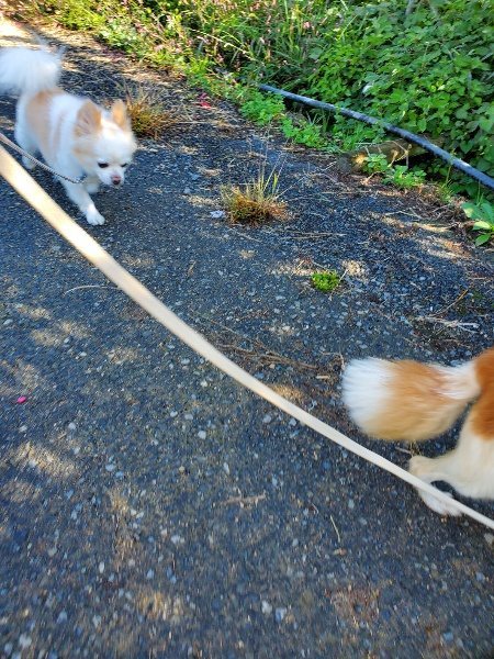 f:id:roukenhome-ann:20191009194422j:plain