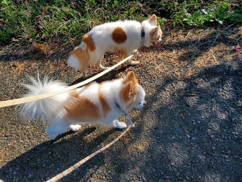 f:id:roukenhome-ann:20191009194448j:plain